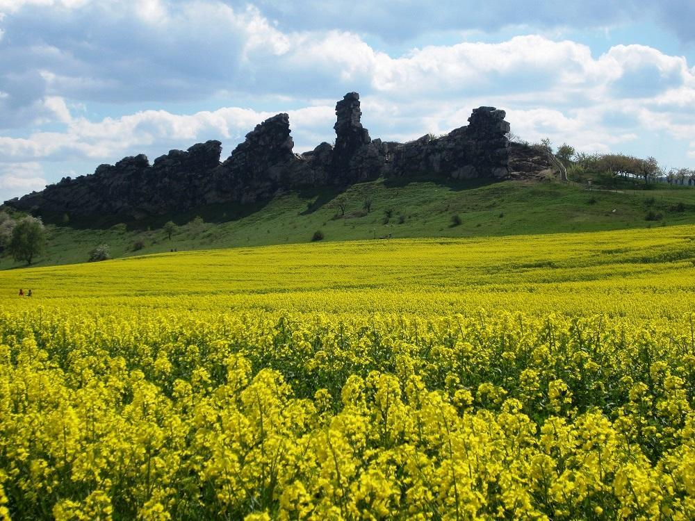 Ferienhaus Wotan Thale Exteriör bild